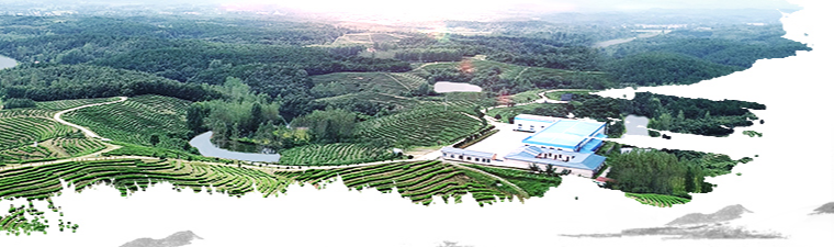 Хубэй Чжунсин Фуд Ко., Лтд. (Hubei Zhongxing Food Co., Ltd.)