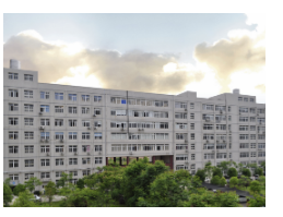 Ухань Shengfeihua Technology Co., Ltd.